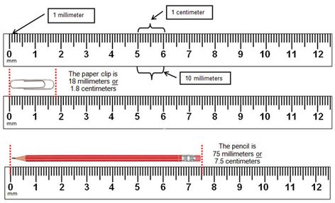 Diagram of how to read a metric ruler Reading A Ruler, Centimeter Ruler, Printable Ruler, Copper Cookware Set, Cookware Set Best, Tape Reading, Mm Ruler, Measurement Worksheets, Ruler Measurements