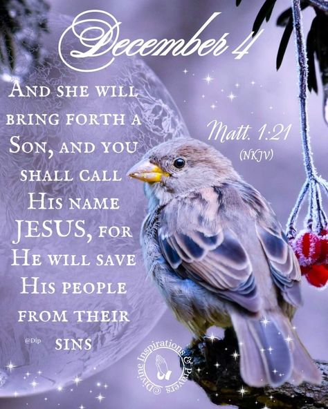 December 4 Blessings, Divine Inspiration And Prayers, December Scriptures, Christmas Verses, Hello December, Good Morning God Quotes, Encouraging Bible Verses, Daily Verses, Daily Scripture