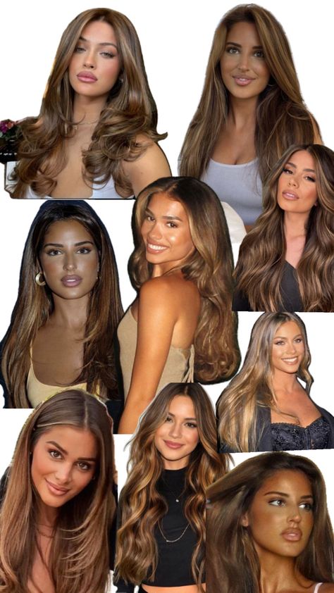 Brown Hair Inspiration, Honey Brown Hair, Brown Hair Looks, Hair Inspiration Long, Brown Hair Inspo, Brunette Hair With Highlights, Color Collage, Blonde Hair Looks, Hair Stylies