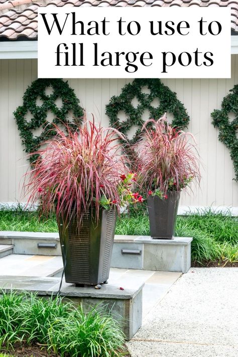 What To Plant In Planters, What To Put In Tall Planters, Large Planter Ideas Outdoor Shade, Large Outside Planter Ideas, Huge Planter Ideas, Flower Planter Box Ideas Outdoor, Gardening Pots Ideas, Plants For Planters Front Porches, Plants In Tall Planters