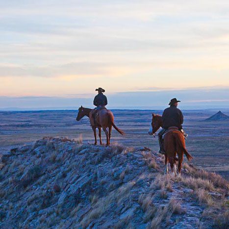 In these journal excerpts from a recent 2,500-mile branding trip, rancher John Welch relates the ups and downs of branding cattle in unfamiliar country. Branding Cattle, John Welch, Only In Texas, Cowboy Love, American Cowboy, Cowboy Pictures, Cattle Brands, Cattle Drive, Deep South