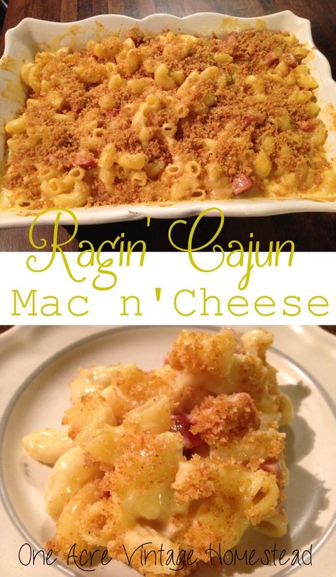 Cajun Mac and Cheese ⋆ One Acre Vintage & Pumpkin Patch Mtn. Cajun Mac And Cheese Recipe, Cajun Mac And Cheese, Cajun Party, Cajun Seasonings, Barbecue Pulled Pork Recipe, Vintage Homestead, Casserole Dinners, Ragin Cajun, Cajun Christmas