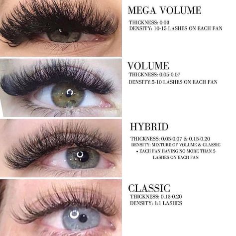 30% Off Classic individual lashes. ✅ Easy to make apply ✅ Natural looking ✅ Thickness: 0.03/0.05/0.07/0.15 mm ✅ Length: 8-18mm ✅ Worldwide Shipping Check it out here 👇👇 Types Of Eyelashes, Types Of Eyelash Extensions, Eyelash Extensions Care, Eyelash Tips, Eyelash Technician, Eyelash Extensions Styles, Lash Extensions Styles, Volume Lash Extensions, Perfect Eyelashes