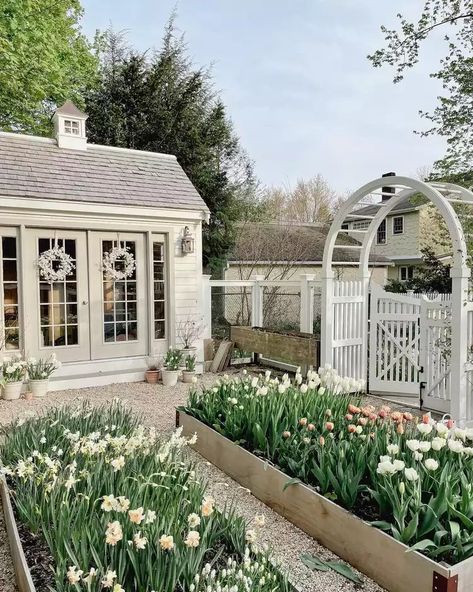 35 Charming and Quaint Cottage Garden Ideas We Love She Shed Plans, Garden Tattoo, Backyard Greenhouse, Garden Wallpaper, Farmhouse Garden, Garden Aesthetic, Garden Greenhouse, Greenhouse Gardening, Design Garden