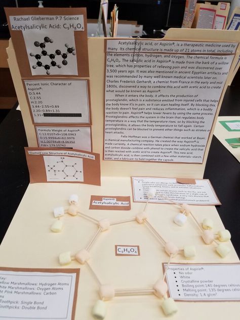 Molecule Model, Chemistry Projects, High School Chemistry, Chemical Structure, School Projects, Chemistry, University, Science, Models