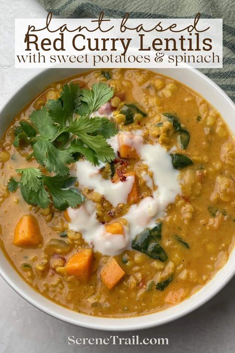 Red Curry Lentils With Sweet Potatoes And Spinach Red Lentil Sweet Potato, Red Lentil Curry Soup, Sweet Potatoes And Spinach, Lentil Curry Soup, Bean Meals, Red Curry Lentils, Curried Lentils, Lentil Sweet Potato, Potatoes And Spinach