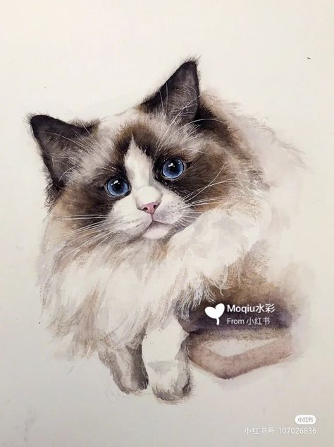 Ragdoll Cat Watercolor, Ragdoll Cat Painting, Ragdoll Cat Drawing, Ragdoll Cat Art, Oliver Otto, Fun Things To Paint, Aquarell Painting, Drawing A Picture, Water Colouring