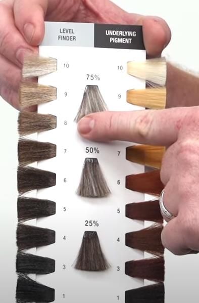 Level system and underlying pigment Hair Color Wheel, Bleaching Hair, Best Hair Color, Color Composition, Professional Stylist, Color Your Hair, Tone Hair, Bleached Hair, Cool Hair Color