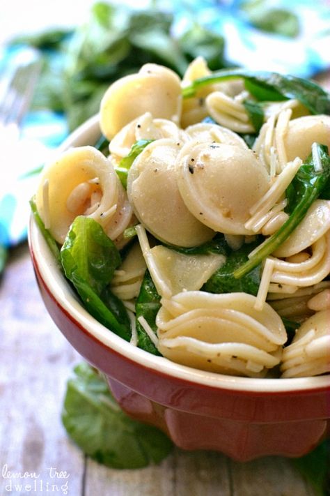 Spinach, Pine Nut & Parmesan Pasta Salad. Simple & delicious!! Pine Nut Pasta Salad, Pine Nut Salad Recipe, Pine Nut Pasta, Parmesan Pasta Salad, Pine Nut Salad, Pine Nuts Pasta, Nut Salad, Cucumber Feta Salad, Pine Nuts Salad