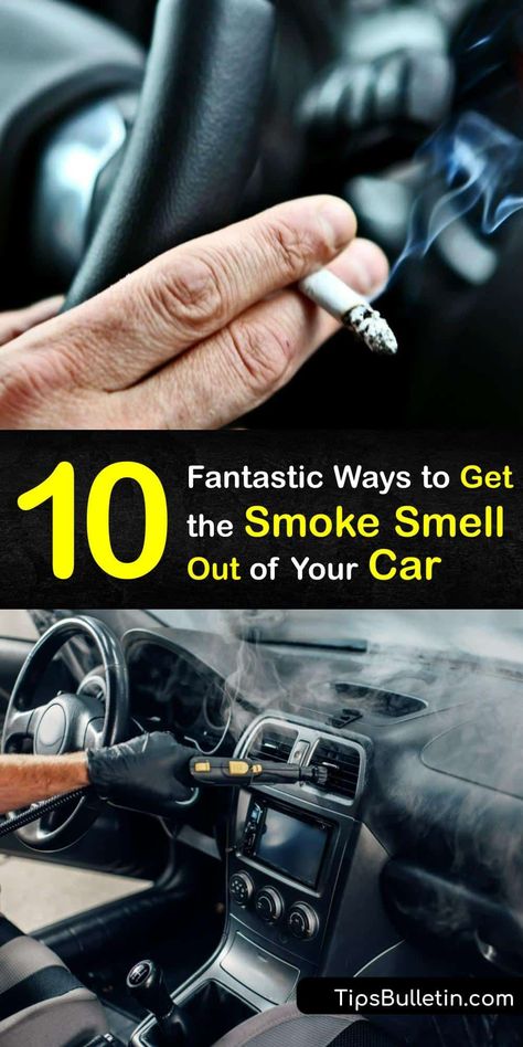 Cigarette smoke smell makes your car an unpleasant place. Eliminate smoke odor with a DIY air freshener, baking soda, activated charcoal, or a dryer sheet to leave your car smelling fresh and inviting. #get #smoke #smell #out #car Odor Eliminator Diy, Car Odor Eliminator, Smell Remover, Deodorizing Spray, Air Car, Vehicle Care, Diy Air Freshener, Car Smell, Car Upholstery