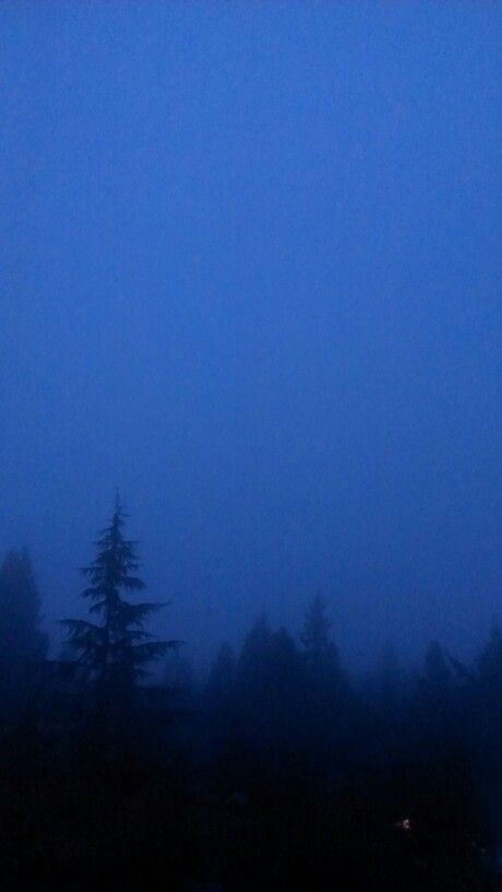 Blue Fog Aesthetic, Corecore Wallpaper, Dark Blue Forest, Fog Aesthetic, Blue Hour Photography, Blue Aesthetic Dark, Ocean At Night, Blue Fog, Fog Blue