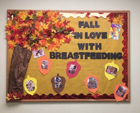 WIC Breastfeeding bulletin board Wic Bulletin Board Ideas, Breastfeeding Bulletin Board Ideas, Wic Ideas, Nutrition Bulletin Boards, Nicu Crafts, Nurse Bulletin Board, Health Bulletin Boards, Lactation Room, Breastfeeding Art