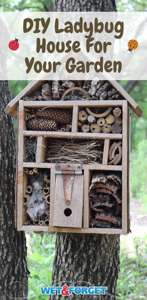 Ladybird House Diy, Diy Pollinator House, Ladybug House Diy, Ladybug Habitat Diy, Diy Ladybug House, How To Make A Bee House, Bug House Diy, Butterfly House Diy, Diy Butterfly House