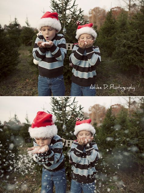 Sibling Christmas Pictures, Christmas Photoshoot Kids, Outdoor Christmas Photos, Fun Christmas Photos, Tree Farm Photo Shoot, Christmas Pictures Kids, Christmas Mini Shoot, Christmas Tree Farm Photos, Christmas Family Photoshoot