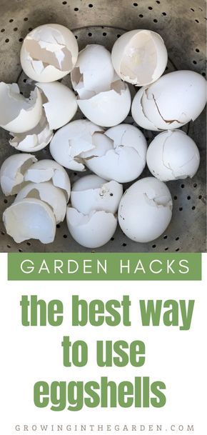 Garden Hack Ideas, Garden Diy Decoration Ideas, Garden Diy Hacks, Easy Gardening Hacks, Garden Remedies, Garden Hacks, Garden Wallpaper, Healthy Garden, Home Vegetable Garden