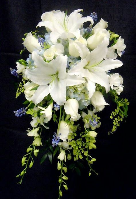 Wedding lily bouquet Flower Bucay Wedding, Lilly Flower Wedding Decorations, Iris And Lily Bouquet, Casablanca Lily Bouquet, Wedding Lillies Bouquets, White Stargazer Lily Wedding Bouquet, Wedding Bouquets Big, Lillie Wedding Bouquets, White Lily Wedding Centerpieces