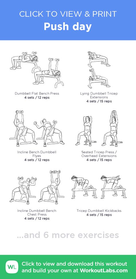 Push day – click to view and print this illustrated exercise plan created with #WorkoutLabsFit Workout Push Day, Push Pull Legs Workout, Push Day Workout, Push Pull Workout, Pull Workout, Pull Day Workout, Pull Day, Gym Workout Plan, 300 Workout