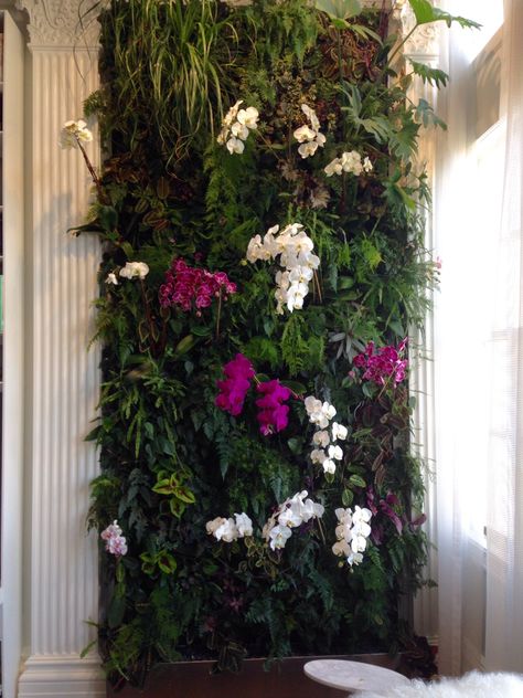 This elegant vertical garden resides in a luxury apartment in the upper west side of Manhattan. It features an array of tropical green plants and beautifully colored orchids. Vertical Garden Wall Orchid, Vertical Orchid Wall, Tropical Plant Wall, Hanging Garden Ideas, Vertikal Garden, Orchid Wall, Vertical Garden Ideas, Artificial Vertical Garden, Indoor Orchids