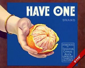 VINTAGE CALIFORNIA ORANGE CITRUS FRUIT ORANGES POSTER FOOD ART ... Orange Crate Labels, Vegetable Crate Labels, Fruit Labels, Fruit Crate Label, Vegetable Crates, Vintage Crate, Fruit Crate, Crate Label, Check Material