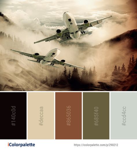 Aircraft Images, Color Palette Ideas, Palette Ideas, Aerospace Engineering, Air Travel, Safe Travel, Color Pallets, Color Card, Colour Palette