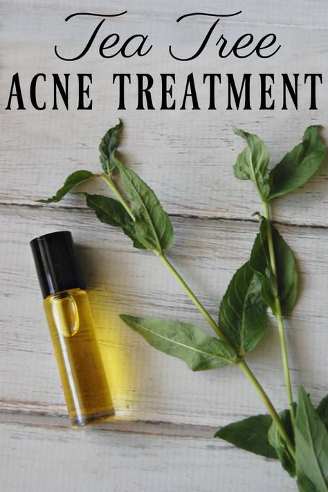 Tea Tree For Acne, Tea Tree Oil For Acne, Natural Tea, Natural Acne Remedies, Natural Acne, Acne Scar Removal, Natural Teas, Acne Remedies, How To Get Rid Of Acne