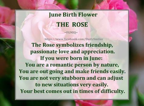 June Birth Flower - Rose June Birth Month Symbols, Flower For June Birth Month, June Birth Flower Tattoo Rose And Honeysuckle, June Birth Flowers, June Magick, Zodiac Flowers, June Birth Month Flower, Birthstones Meanings, Birth Month Quotes