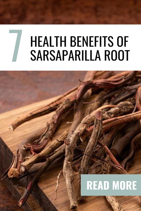 Sarsaparilla is a plant with a rich history of use in traditional medicine across various cultures. Known primarily for its beneficial root, sarsaparilla has carved a niche for itself as a potent herbal remedy.