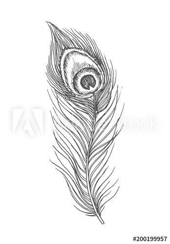 Peacock Feather Black And White, Peacock Feathers Sketch, Peacock Feather Pencil Drawing, Morpankh Sketch, Peackok Feather Drawing, Peacock Feather Tattoo Black And White, Flute With Peacock Feather Drawing, Morpankh Drawing, Peacock Feathers Drawing