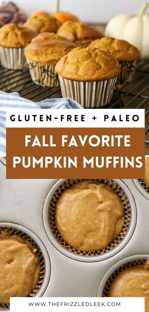 Fall is right around the corner and that means Healthy Pumpkin Muffins are a must! This recipe is gluten-free, and Paleo-friendly without sacrificing any flavor. A touch of applesauce is added to keep the muffins moist and delicious! Just enough pumpkin spice is added to satisfy your pumpkin cravings. Good quality maple syrup is added as the sweetener for a healthy alternative. CLICK THROUGH and enjoy this tasty fall muffin! #muffins #fall #pumpkin #pumpkinmuffins Sugar Free Pumpkin Muffins, Pumpkin Applesauce Muffins, Paleo Pumpkin Muffins, Healthy Pumpkin Muffins, Fall Muffins, Raw Sweet Potato, Gluten Free Pumpkin Muffins, Pumpkin Cravings, Pumpkin Spice Muffins