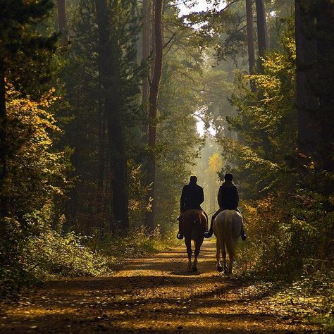 Kat Singleton, Horse Riding Aesthetic, A Peaceful Place, Peaceful Place, Foto Tips, Autumn Aesthetic, Future Life, Country Life, Farm Life