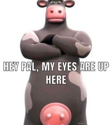 Cow Meme, My Eyes Are Up Here, Collage Creator, Hi Welcome To Chili's, Alfa Alfa, Inappropriate Thoughts, Funny Pix, Baby Memes, Boyfriend Memes