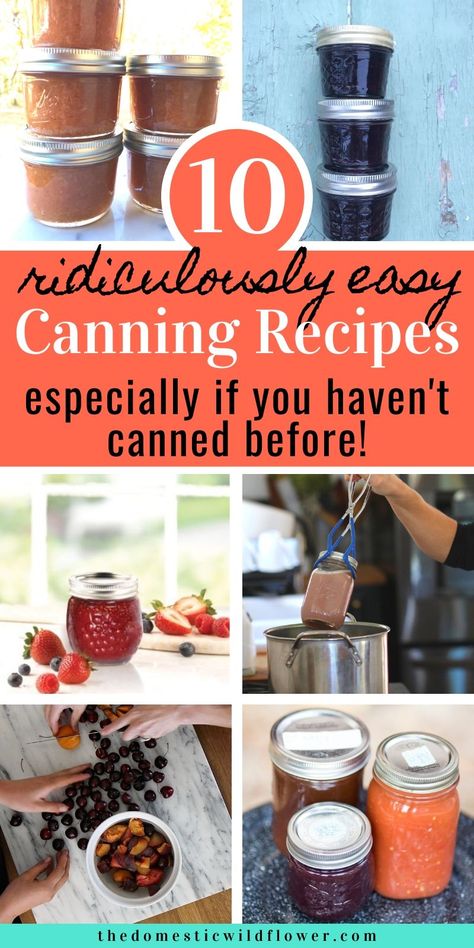 Best Canning Recipes, Canning Recipes For Beginners, Easy Canning Recipes, Steam Canning, Food For Beginners, Water Bath Canning Recipes, Diy Canning, Canning Jam Recipes, Can Food