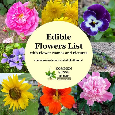 Edible flower list featuring the common and scientific names for 78 edible flowers, along with pictures and detailed use information for our top ten. We'll talk about which parts of flowers are edible (such as edible petals), nutrition value, how they taste and how to use them. Flowers List, Eatable Flowers, Plants Names, Dandelion Coffee, Potato Tower, Flower Recipes, Dandelion Benefits, Italian Flowers, Edible Flowers Recipes