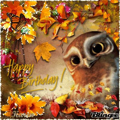 Happy Birthday Owls Image, Autumn Happy Birthday, Happy Birthday Owl, Birthday Animation, Gif Quotes, Animation Images, Hope Pictures, Birthday Wishes With Photo, Birthday Owl