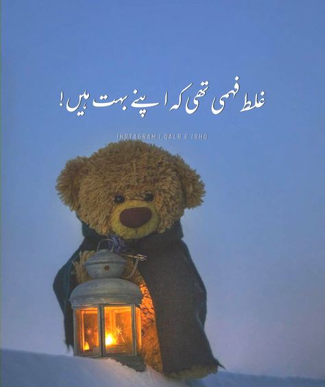 Matlabi Log Poetry In Urdu, Matlabi Log Quotes Urdu, Urdu Funny Poetry, Soul Poetry, Love Poetry Images, Image Poetry, Deep Lines, Self Inspirational Quotes, Look Up Quotes