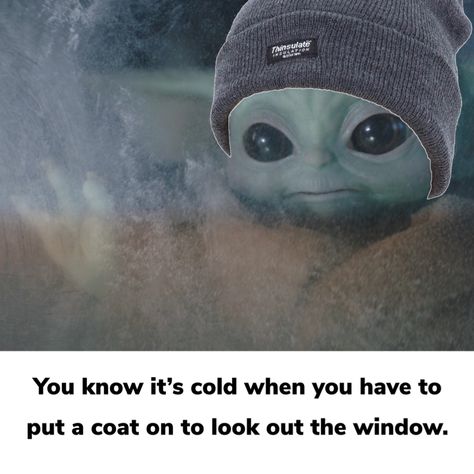 So Cold Humor, Cold Humor, Cold Weather Funny, Winter Humor, Houses Interior, Yoda Funny, Looking Out The Window, Delicious Pies, Star Wars Pictures