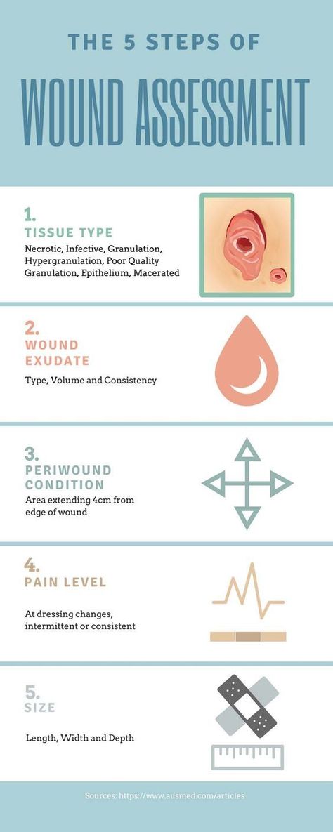 Ausmed's Wound Care and Wound Healing Guide for Nurses Infographic Wound Assessment Wound Assessment, Nursing Infographic, Wound Care Nursing, Healing Guide, Nursing Assessment, Hospice Nurse, Nursing Student Tips, Nursing School Survival, Nursing School Studying