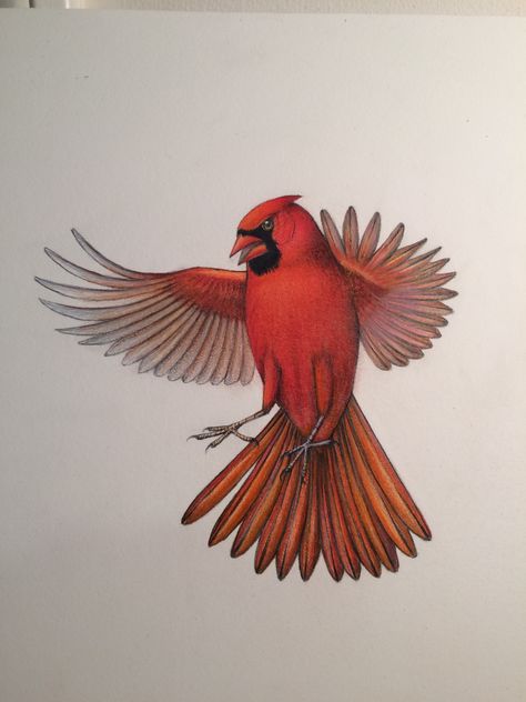 Quilting Tattoos, Red Cardinal Flying, Cardinal Reference, Cardinal Flying, Cardinal Drawing, Flying Illustration, Personal Project Ideas, Character Tattoos, Cartoon Character Tattoos