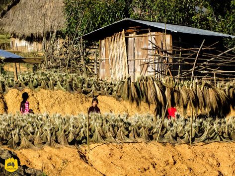 https://flic.kr/p/2hW5Mx6 | Hmong village, Nongkhiaw, Laos Hmong Village, Diorama Ideas, Laos, Road Trip, Cabin, House Styles, Photography, Art