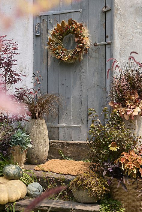 Hand-crafted by a woman-led team in Washington state, this organic, naturally-preserved wreath is made up of wheat, salal, safflower, flax, and more seasonal botanicals for a full, autumnal look. | La Hora Dorada Preserved Wreath at Terrain Fall Pots, Grass Wreath, Poppy Wreath, Globe Amaranth, Pot Ideas, Easter Shopping, Fall Porch, Hand Poured Candle, Faux Plants