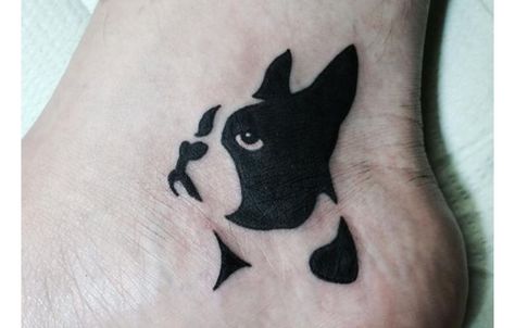 Boston tattoos Tattoo Perro, Boston Terrier Tattoo, Terrier Tattoo, Boston Tattoo, Dog Memorial Tattoos, Tattoo Cat, Memorial Tattoos, Elephant Tattoos, Tattoo Feminina