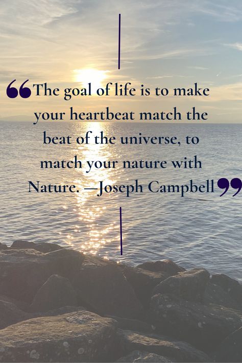 Joseph Campbell Quote on Nature and Life Joseph Campbell Hero's Journey, Joseph Murphy Quotes, Quote On Nature, Joseph Campbell Quotes, Warrior Monk, Joseph Campbell, Quotes On Life, Empowering Words, Love Life Quotes