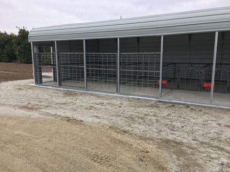 Pig pens barn Show Pig Pen Ideas, Pig Barn Ideas, Pig Pen Design, Pig Pen Ideas, 4h Pigs, Tool Shed Plans, Pig Pens, Goat Hay Feeder, Pig Shelter