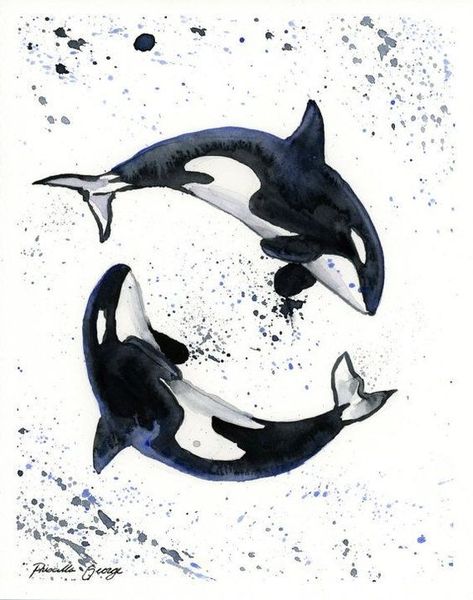 Orca Art, Orca Tattoo, Aurora Art, Whale Tattoos, Watercolor Whale, Whale Art, Orca Whales, Killer Whale, 수채화 그림