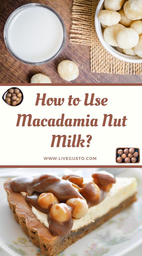 17 Fascinating Macadamia Milk Uses Macadamia Nut Milk, Milk Uses, Raw Vegan Breakfast, Macadamia Milk, Plant Based Diet Meals, Macadamia Nut, Best Vegan Recipes, Nut Milk, Milk Recipes