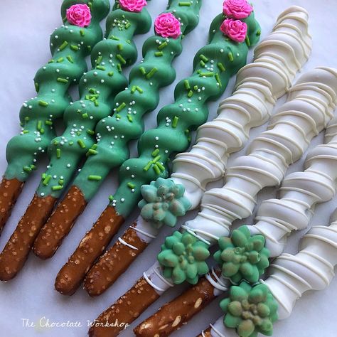 Cactus & Succulent Caramel Pretzel Twists | Etsy Cactus Dipped Pretzels, Cactus Pretzels Rods, Fiesta Theme Chocolate Covered Oreos, Fiesta Theme Rice Crispy Treats, Cactus Cakesicles, Mexican Fiesta Cake, Fiesta Wedding Shower, Tinkerbell Party Theme, Fun Cake Pops