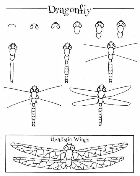 Easy Insect Drawings, Insect Sketches Simple, How To Draw Bugs Step By Step, Insects Drawing Step By Step, How To Draw A Beetle Step By Step, How To Draw Insects, Bugs Drawing, Fly Drawing, Butterfly Art Drawing