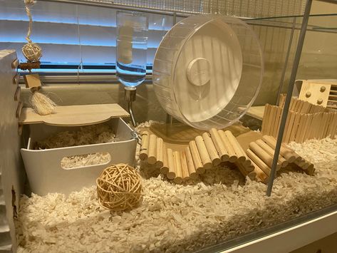 Victoria Rachel Hamster, Hamster Cage Aesthetic, Hamster Aesthetic Cage, Hamster Names Ideas, Aesthetic Hamster Cage, Hamster Cage Ideas Aesthetic, Kandang Hamster, Hamster Diy Cage, Cool Hamster Cages