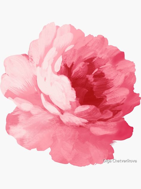 Pegatina «Flor peonía rosa» de afremovartist | Redbubble Peony Painting, Pink Peony, Beautiful Stickers, Painting Flowers, Peony Flower, Pink Peonies, Blue Butterfly, Pink Flower, Painting Inspiration