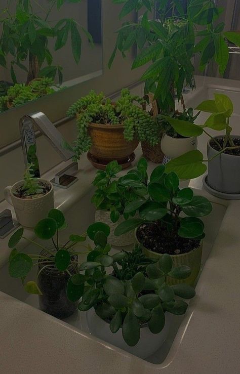 Plant Mom Aesthetic, Plant Aesthetic, Room With Plants, Plant Pictures, Pretty Plants, Plant Mom, Farm Gardens, Cool Plants, Flowers Nature